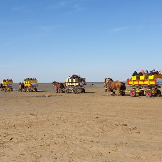 Wattwagen in Sahlenburg