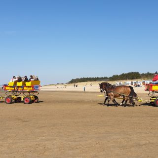 Wattwagen in Sahlenburg